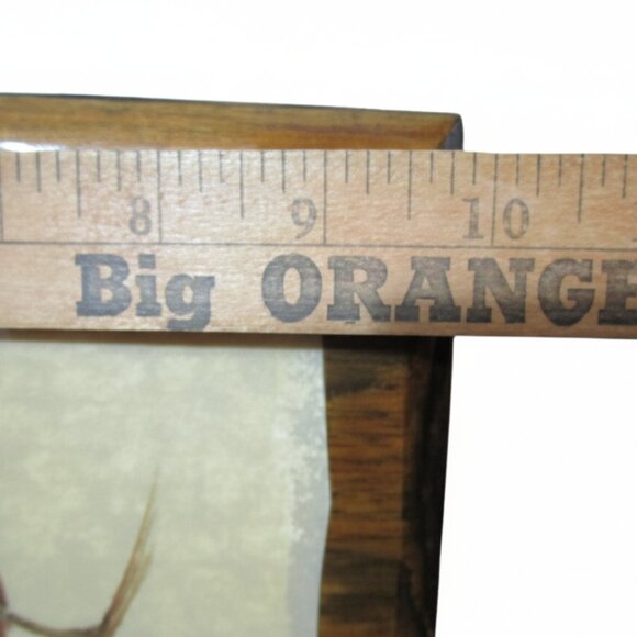 Vintage Harry J. Moeller Wood Bird Print Lacquered Framed Wall Art Mid-Century - Picture 7 of 7